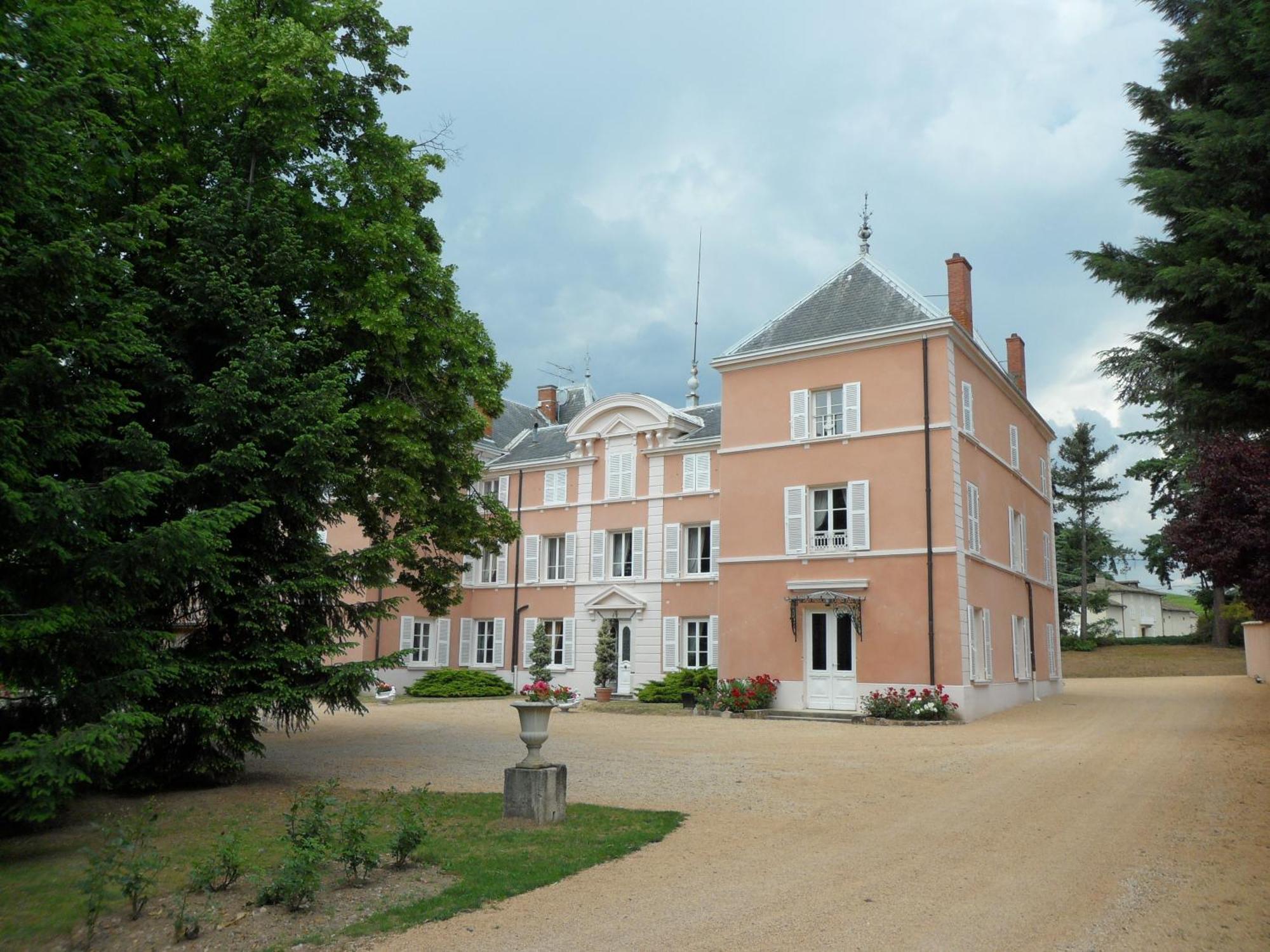 Chateau De La Chapelle Des Bois Флёри Экстерьер фото